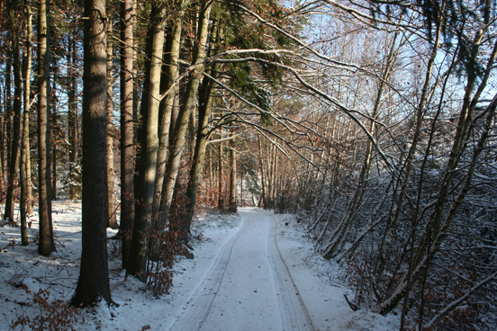 Podmelechovský spolek